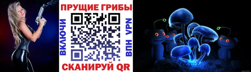 Псилоцибиновые грибы мицелий Купить закладки Малгобек